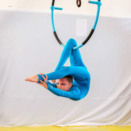Photo #13529602