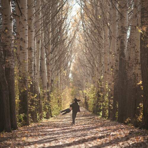 Photo #13529607