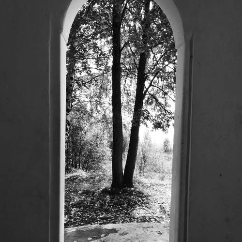 Photo #13529664