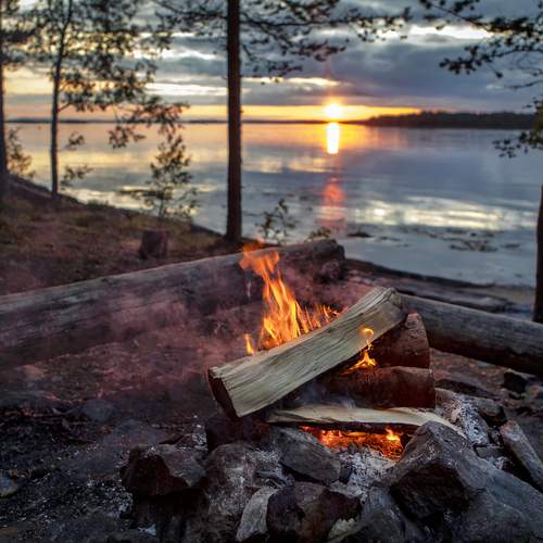 Photo #13529718