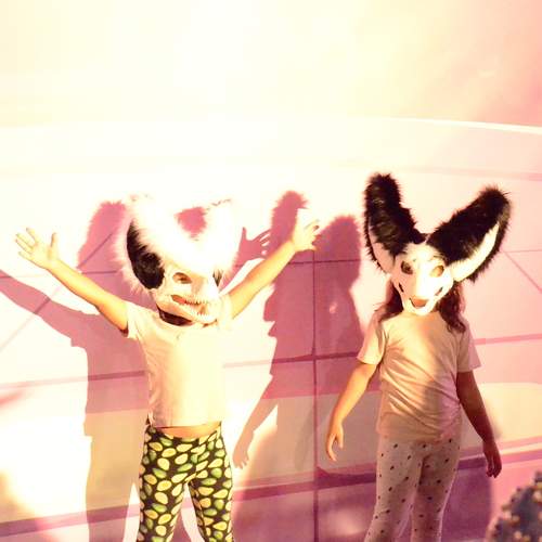 Photo #13529744