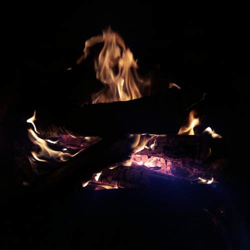 Photo #13530012
