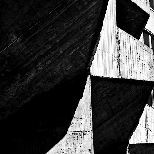 Photo #13530041