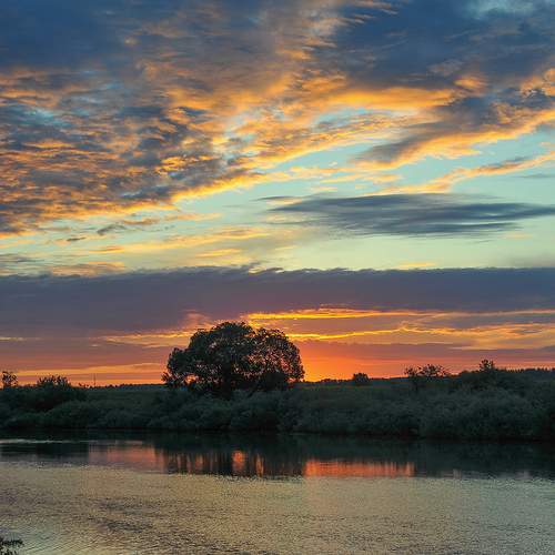 Photo #13530156