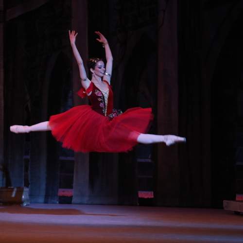 Photo #13530189