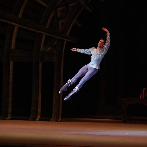 Photo #13530192