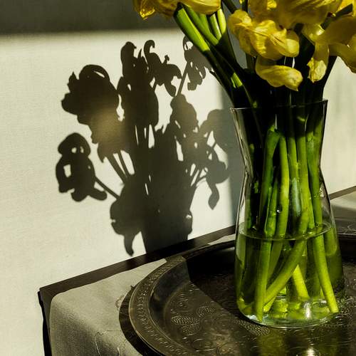 Photo #13530206