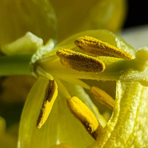 Photo #13530213