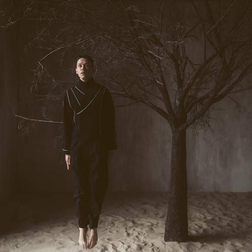 Photo #13530308