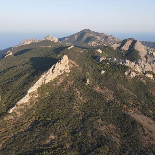 Photo #13530407