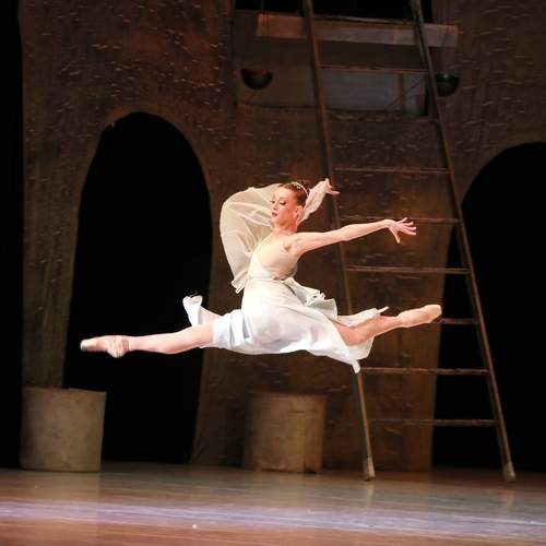 Photo #13530414