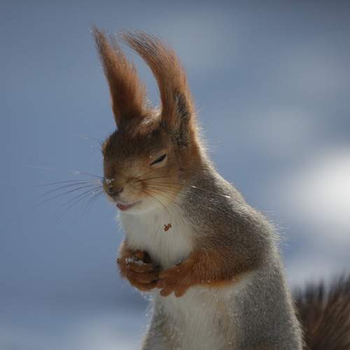 Photo #13530487