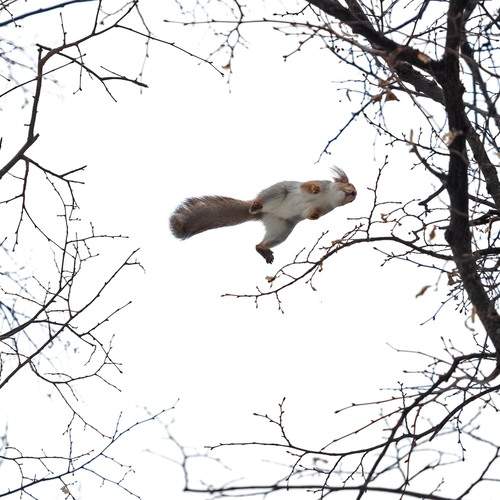 Photo #13530530
