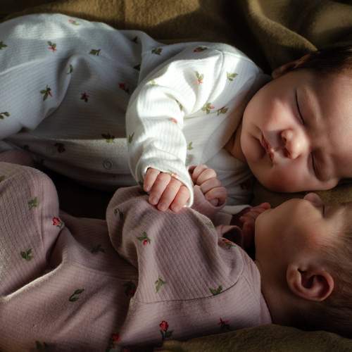 Photo #13530562