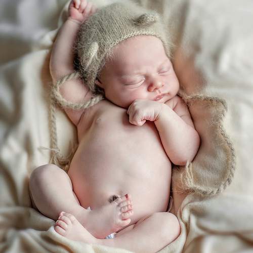 Photo #13530565