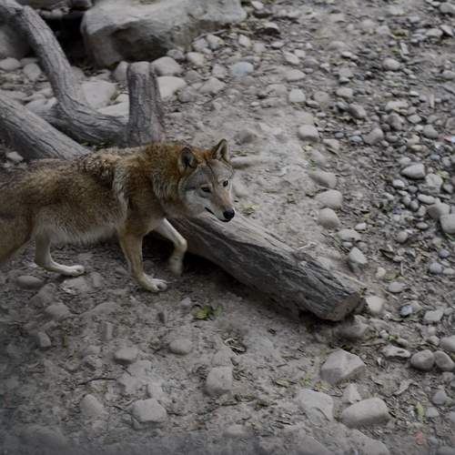 Photo #13530643
