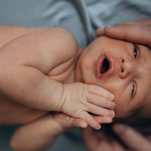 Photo #13530689