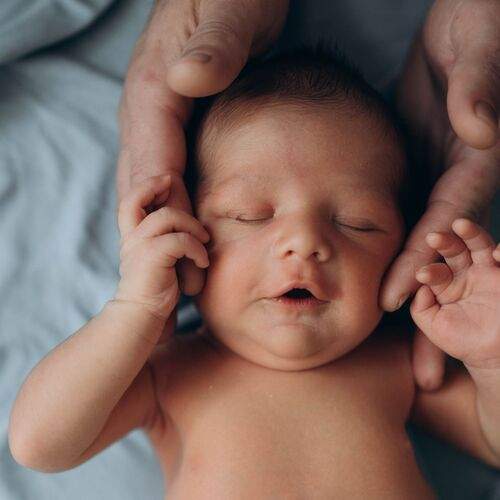 Photo #13530696