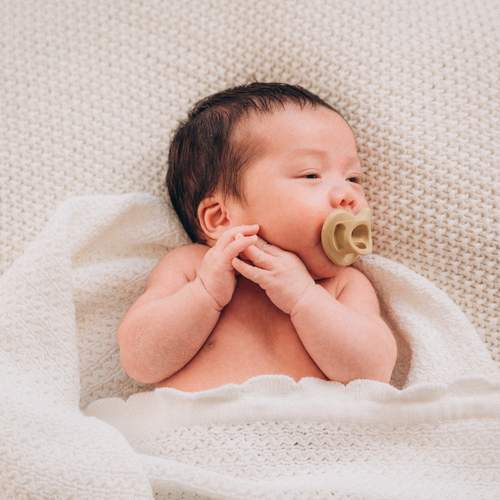 Photo #13530908