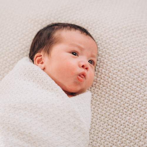 Photo #13530910