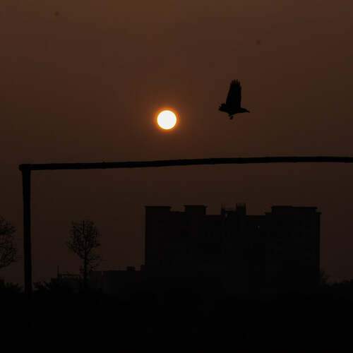 Photo #13530922