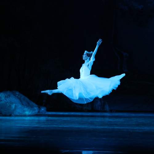 Photo #13531267