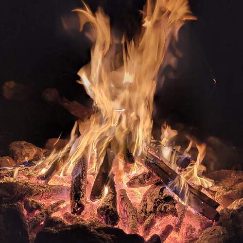 Photo #13531349
