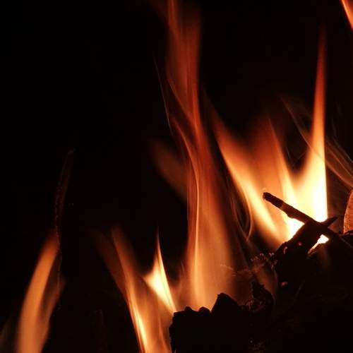 Photo #13531350