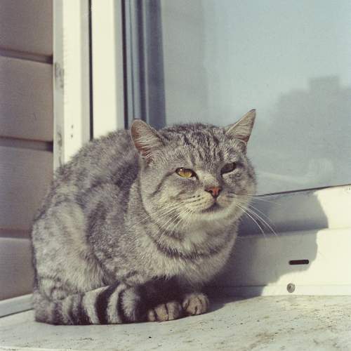 Photo #13531367
