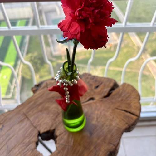 Photo #13531556