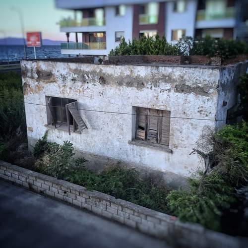 Photo #13531566