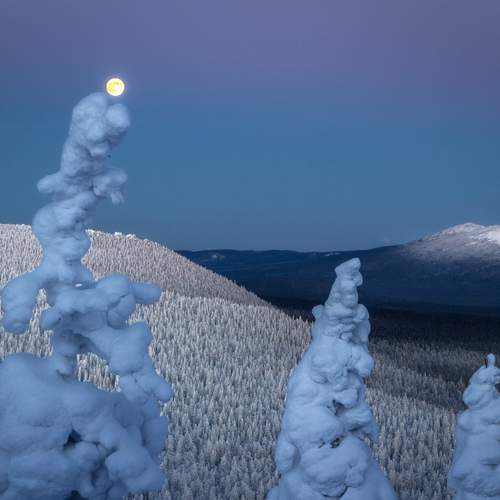 Photo #13531580