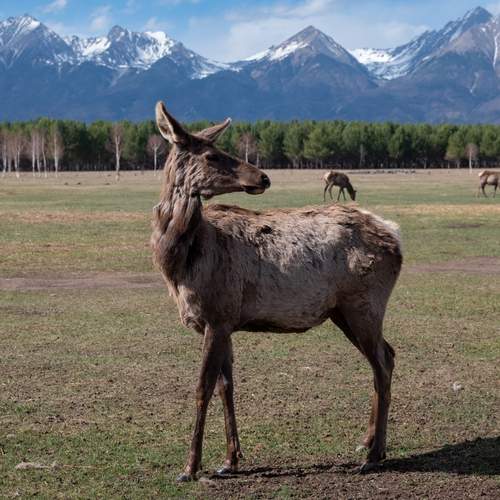 Photo #13531667