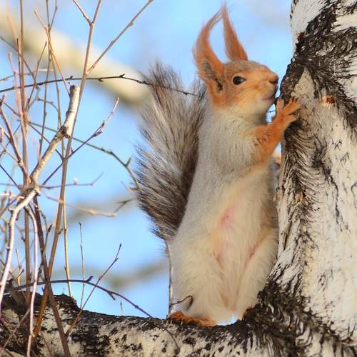 Photo #13531691