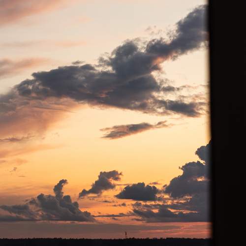 Photo #13531742