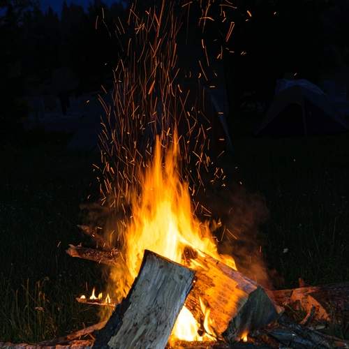 Photo #13531751