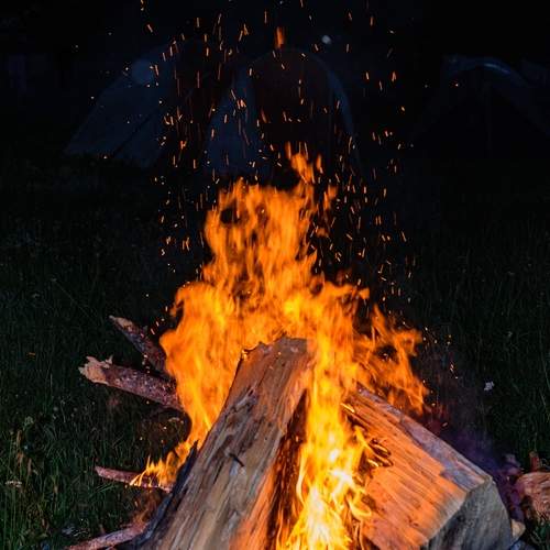 Photo #13531752