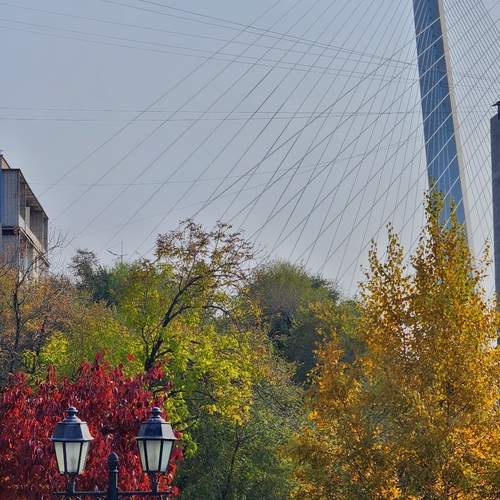 Photo #13531850