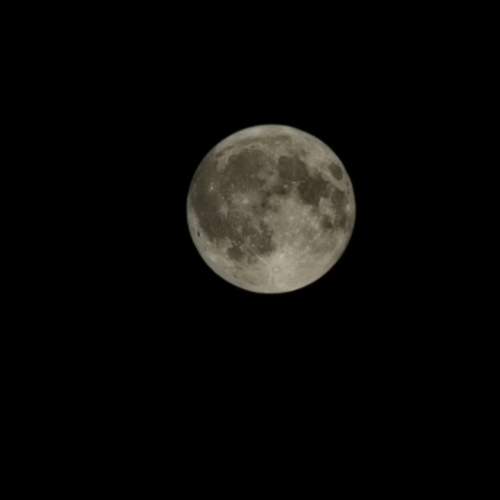 Photo #13531852