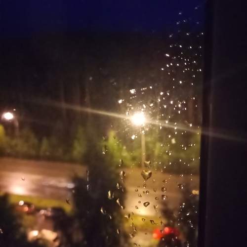 Photo #13531910