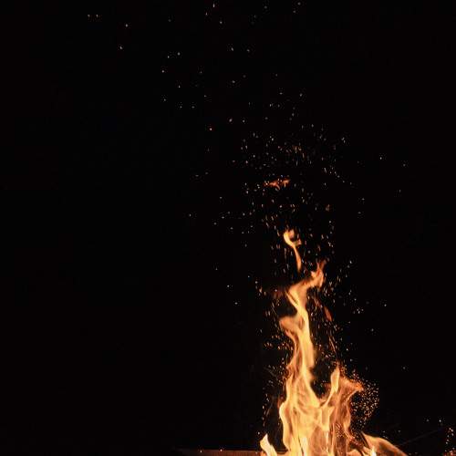Photo #13531938