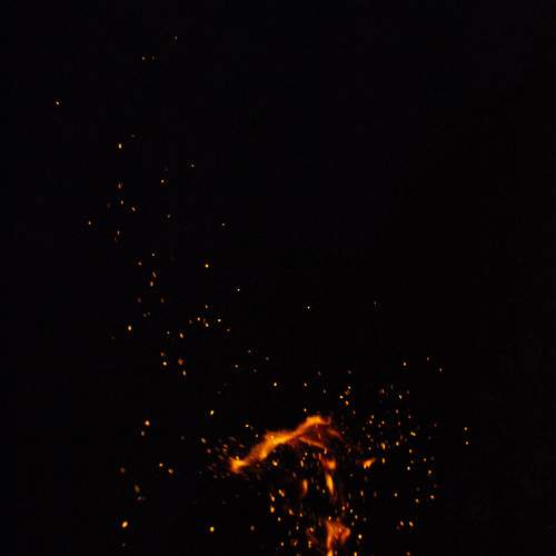 Photo #13531939