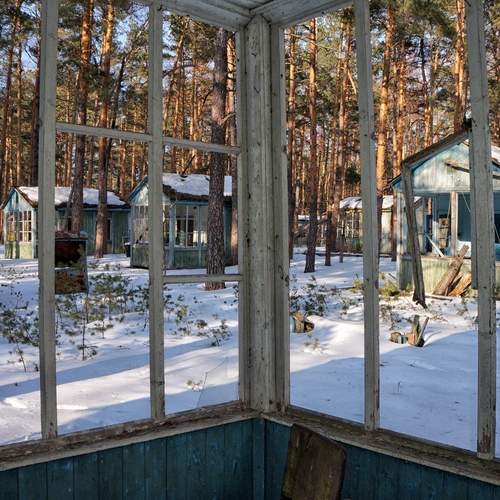 Photo #13531948