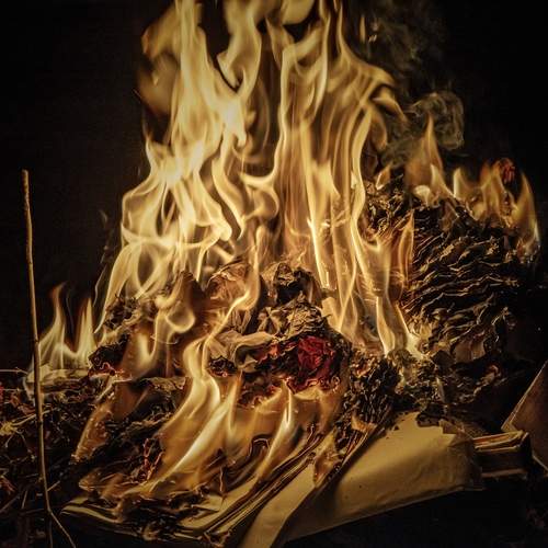 Photo #13532151