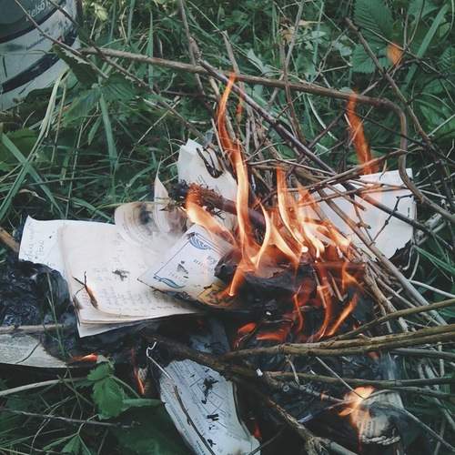 Photo #13532227