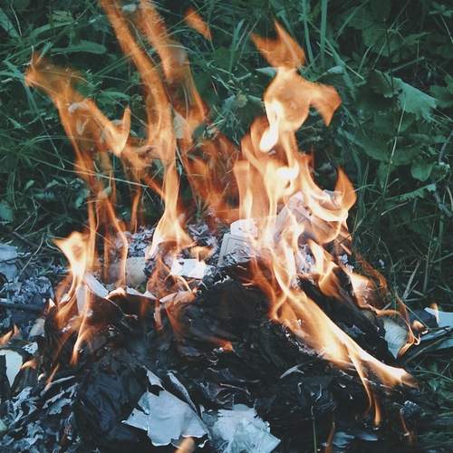 Photo #13532228
