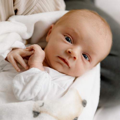 Photo #13532425