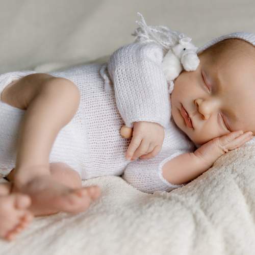 Photo #13532426