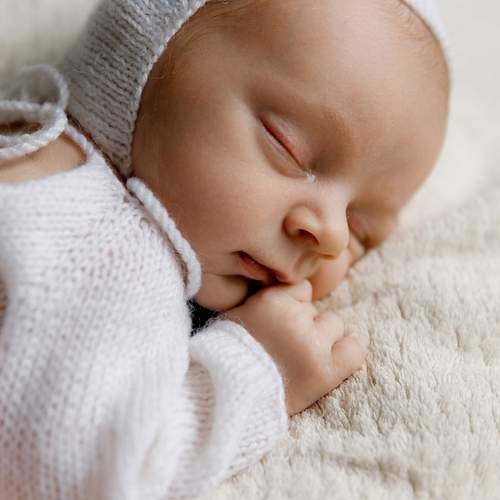 Photo #13532441