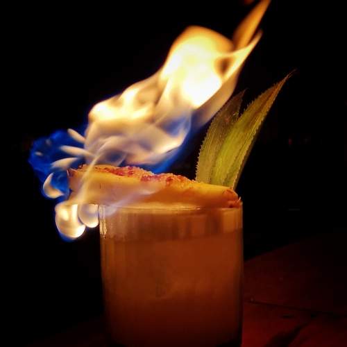Photo #13532452